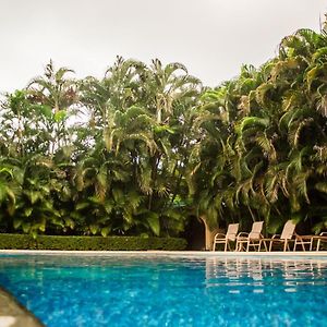 Hotel Coco Palms Playas del Coco Exterior photo
