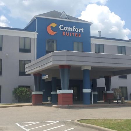 Comfort Suites Airport South Montgomery Extérieur photo