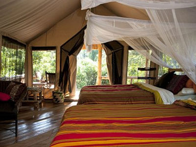 Primate Lodge - Kibale Kampala Chambre photo