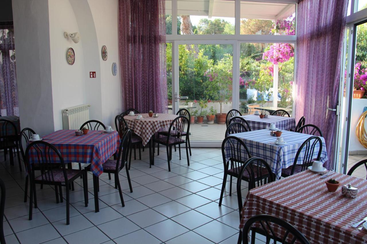 Hotel Villa Cecilia Ischia Extérieur photo