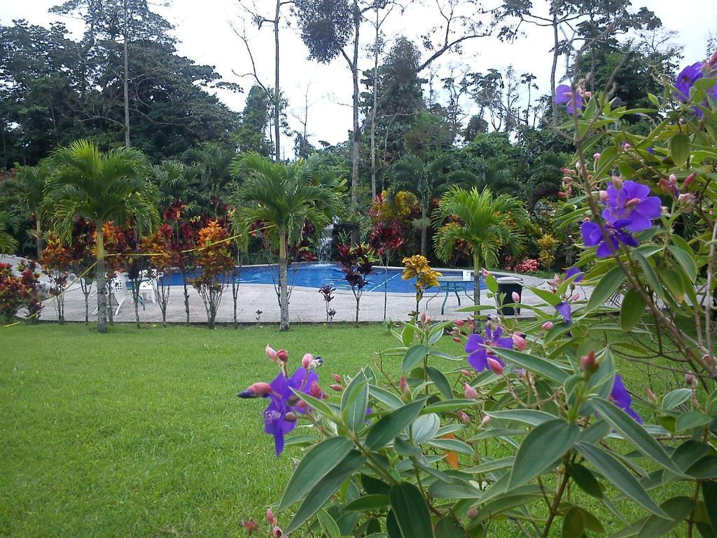 Loma Real Hot Springs Bed & Breakfast La Fortuna Extérieur photo