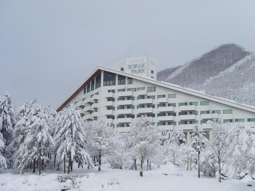 Sokcho Sorak Park Hotel Extérieur photo