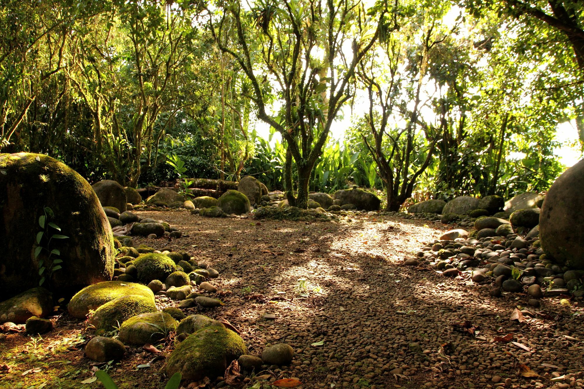 Sarapiquis Rainforest Lodge Extérieur photo