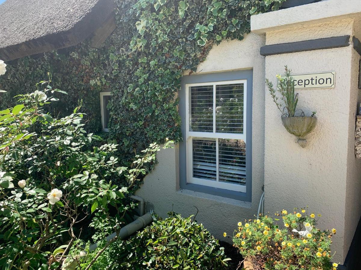 Maison d'hôtes In The Vine Country Manor House à Stellenbosch Extérieur photo