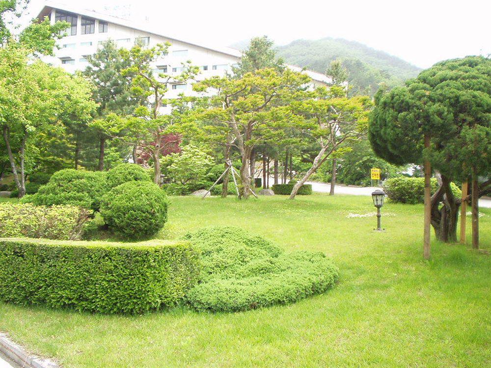 Sokcho Sorak Park Hotel Extérieur photo