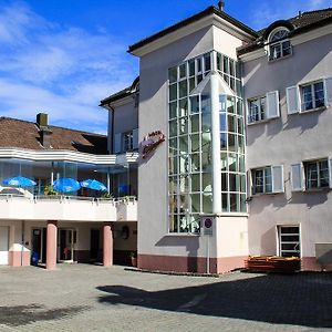 Hôtel Schweizerhof à Mels Exterior photo