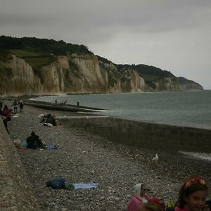 Le clos des mûriers Hautot-sur-Mer Exterior photo